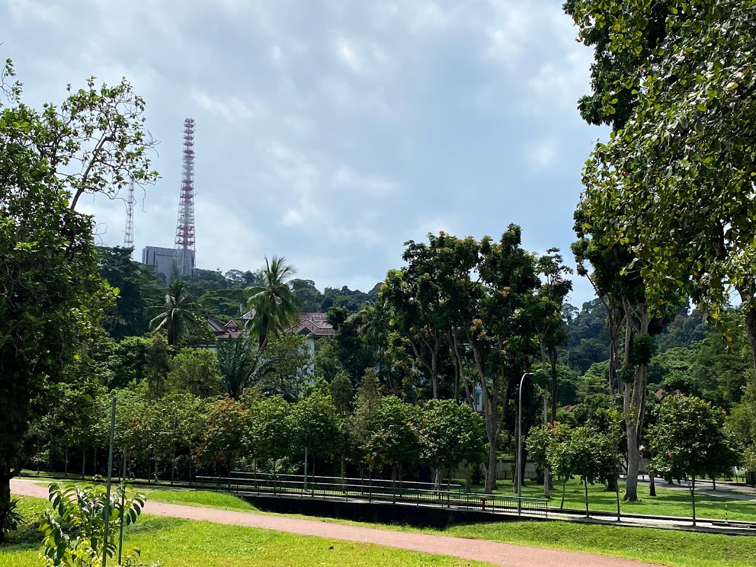 Bukit Timah Hill