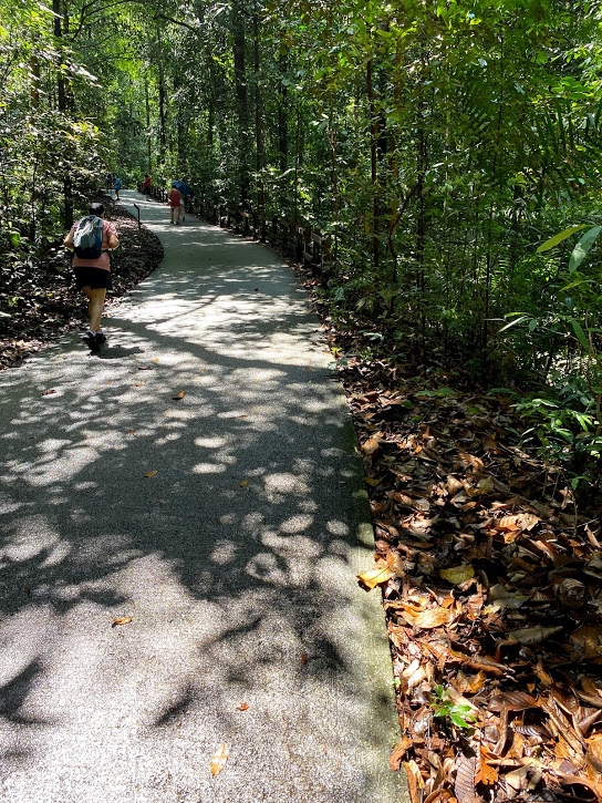 Bukit Timah Hill