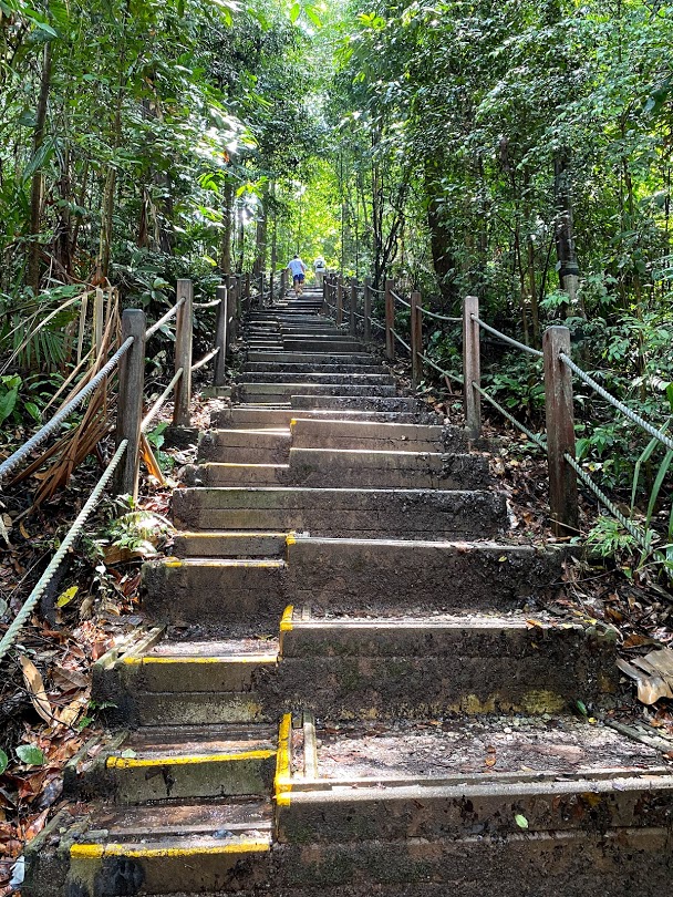 Bukit Timah Hill