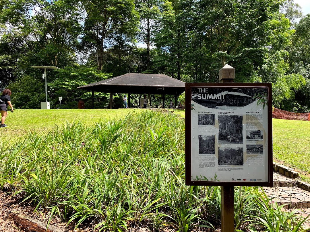 Bukit Timah Hill