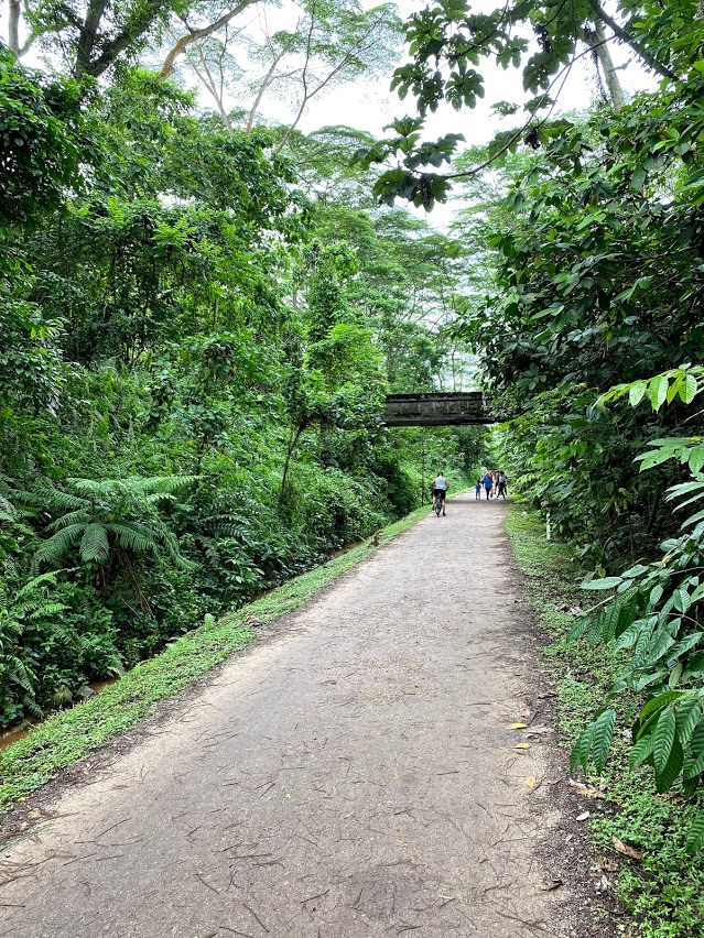 Rail Corridor